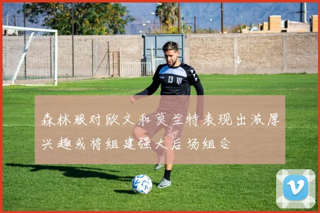 森林狼对欧文和莫兰特表现出浓厚兴趣或将组建强大后场组合