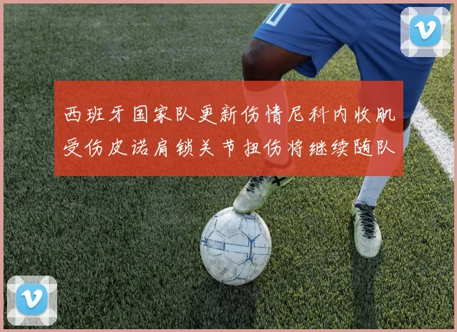 西班牙国家队更新伤情尼科内收肌受伤皮诺肩锁关节扭伤将继续随队训练