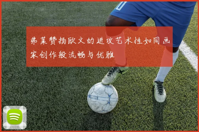 弗莱赞扬欧文的进攻艺术性如同画家创作般流畅与优雅